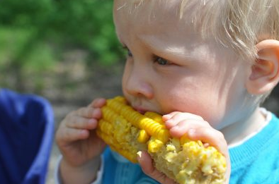 Toddler eating corn on the cob